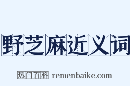 野芝麻近义词是什么意思的图片
